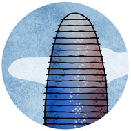 torreGlories
